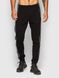 Чоловічі спортивні штани трикотаж фліс чорні GF ШМ02 ШМ02 фото 1